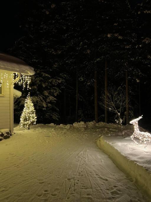 Arctic Circle Guesthouse Rovaniemi Exterior foto